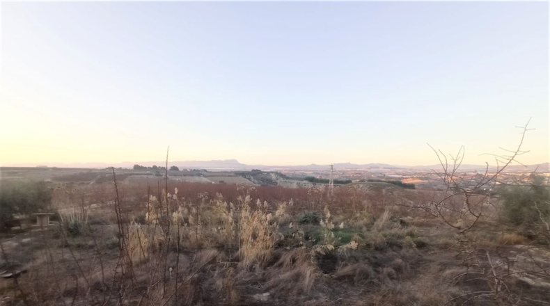 Murcia - Maripinar - 24000m2