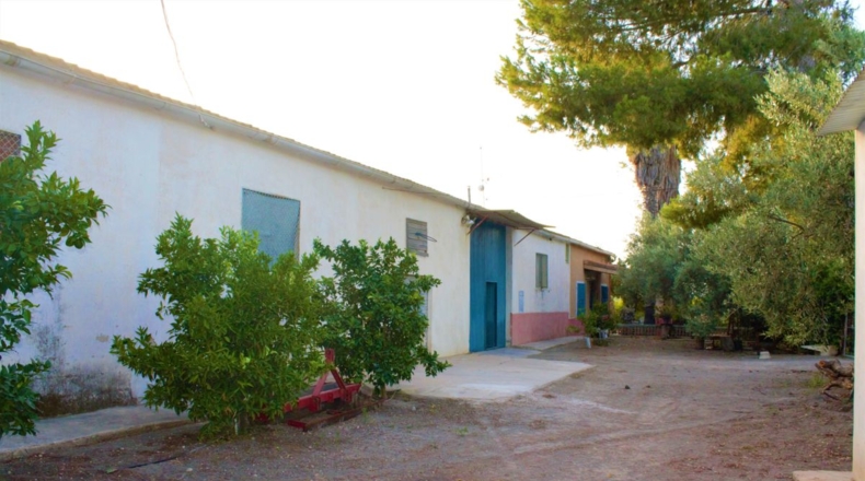 Murcia - Perdiguera - 42289m2