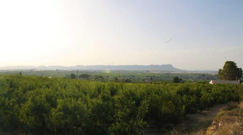 Murcia - Perdiguera - 42289m2