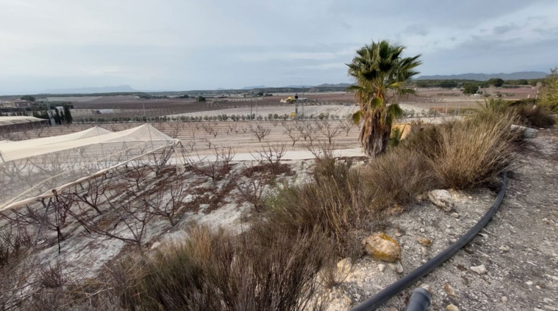 Murcia - Cieza - 70000m2