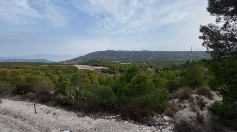 Murcia - Cieza - 70000m2