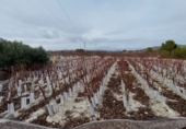 Finca rústica en venda a Cieza ref.: TR262619 foto