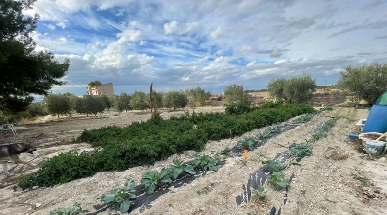 Murcia - Barratera - 4413m2