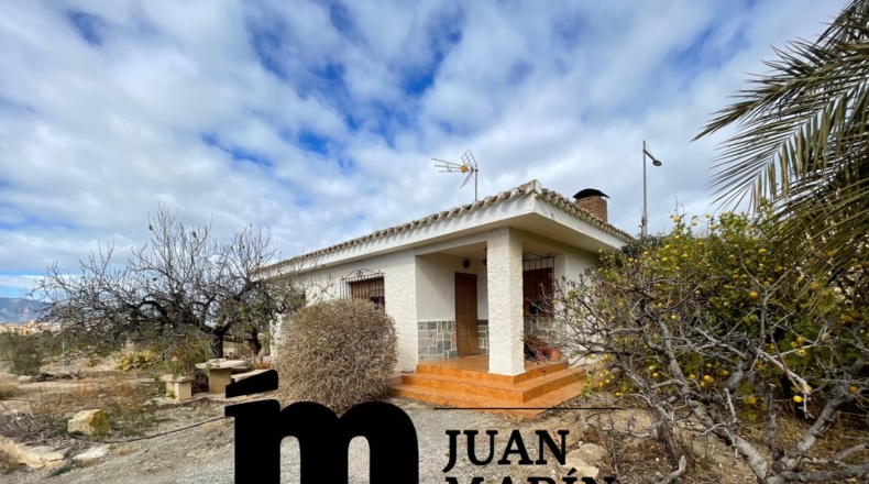 Murcia - Hoya del Campo - 14000m2