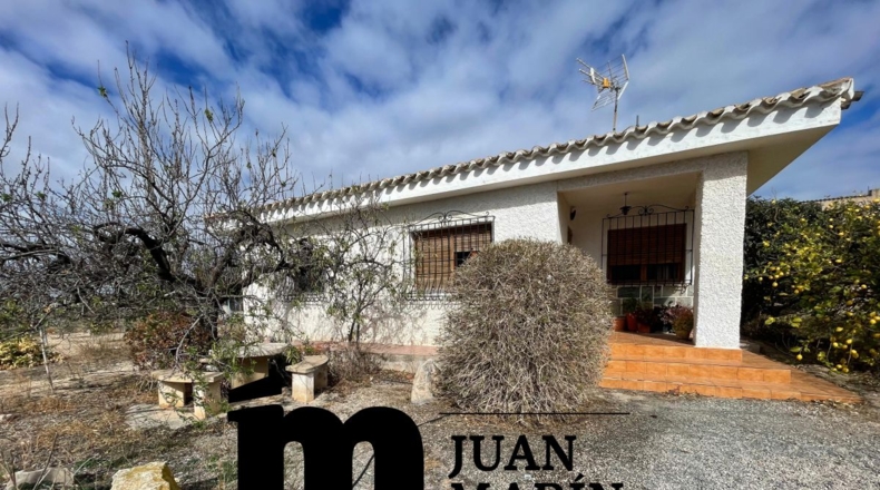 Murcia - Hoya del Campo - 14000m2