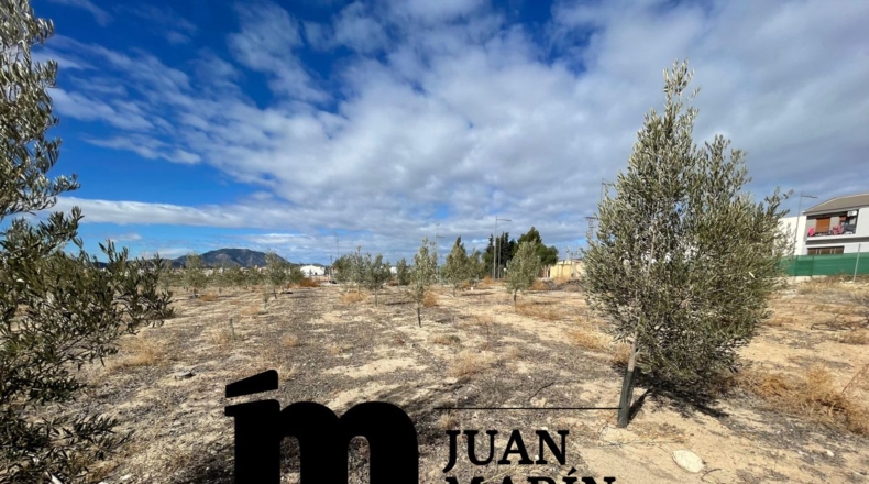 Murcia - Hoya del Campo - 14000m2