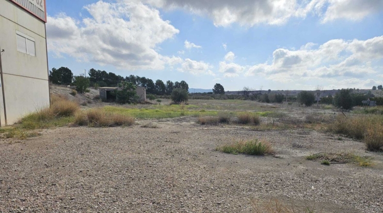 Murcia - Cieza - 42000m2