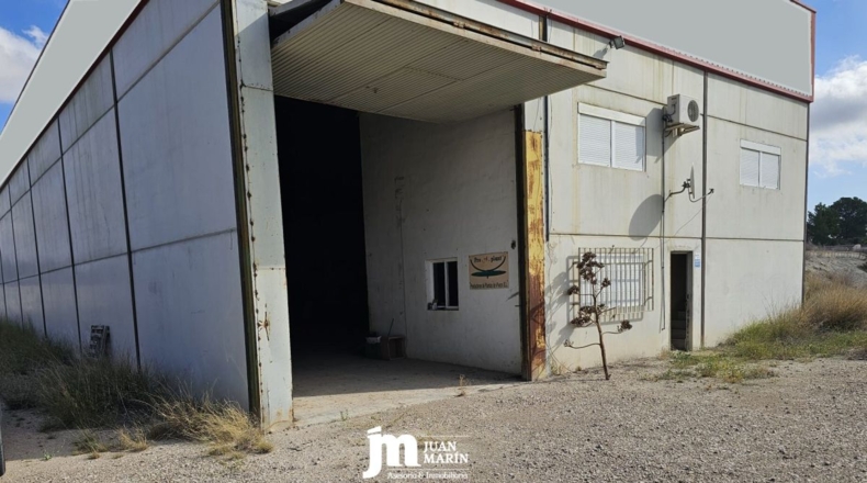 Murcia - Cieza - 42000m2