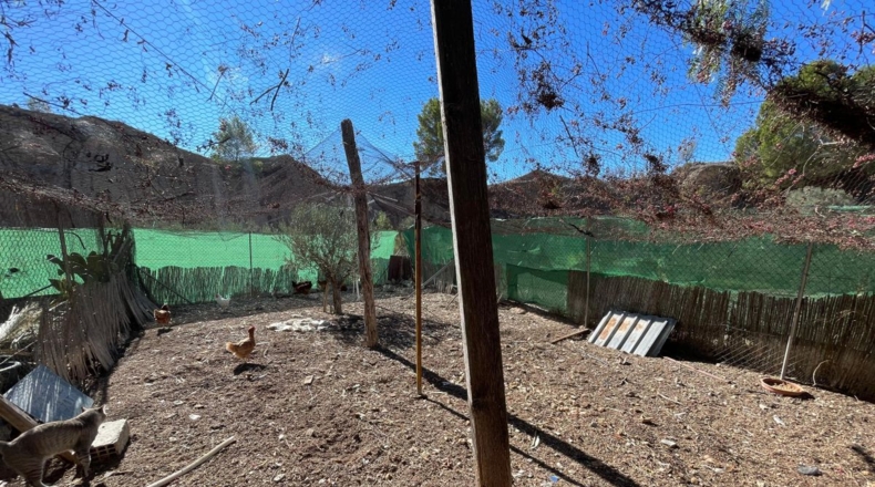 Murcia - Ricote - 750m2