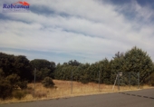 Non-developable land for sale on España, Maello, ref: TR110768 photo