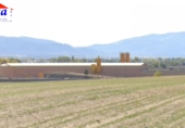 Industrial warehouse for rent on España, Gemuño, ref: TR284494 photo