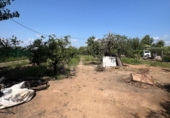 Finca rústica en venda a Castelló de la Plana ref.: TR180813 foto