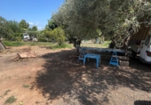 Finca rústica en venda a Castelló de la Plana ref.: TR180813 foto