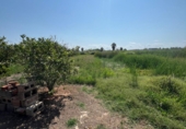 Finca rústica en venda a Castelló de la Plana ref.: TR180813 foto