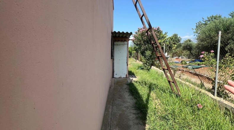 Castellón - Castellón de la Plana - 8257m2