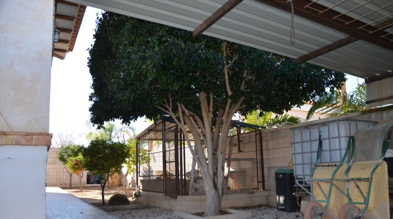 Alicante - San Fulgencio - 901m2