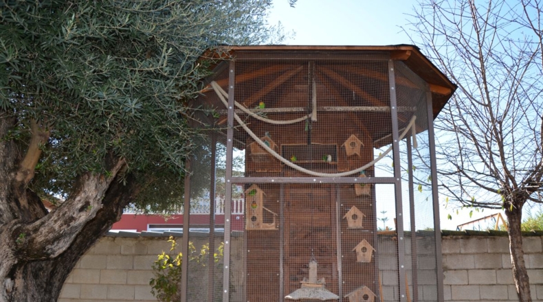 Alicante - San Fulgencio - 901m2