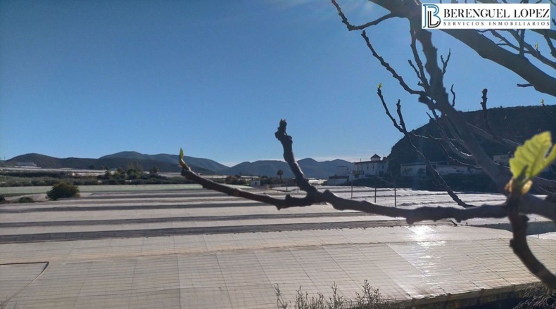 Almeria - Berja - 17504m2