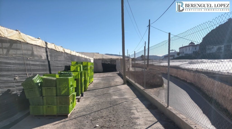 Almeria - Berja - 17504m2