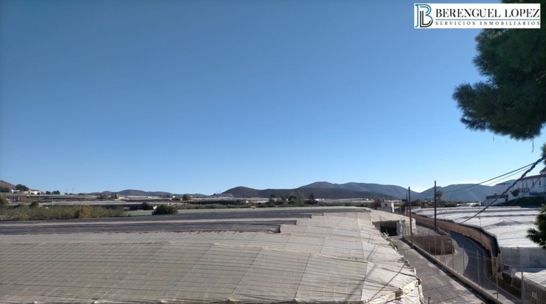 Almeria - Berja - 17504m2
