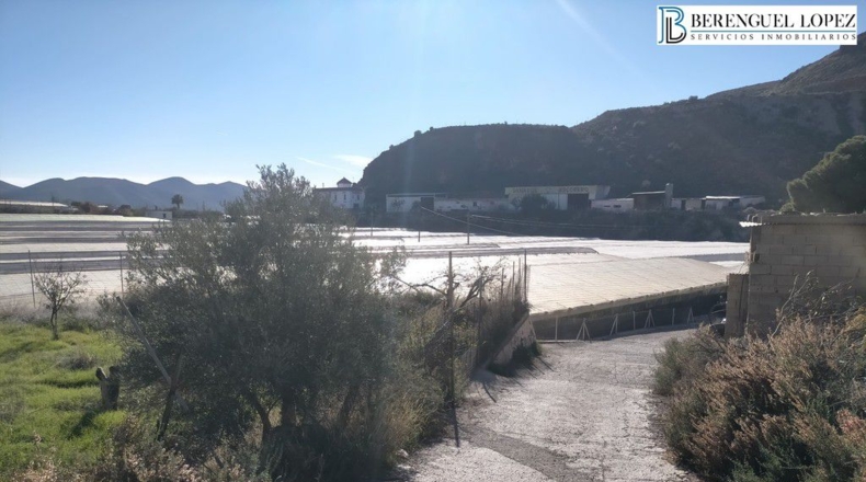 Almeria - Berja - 17504m2