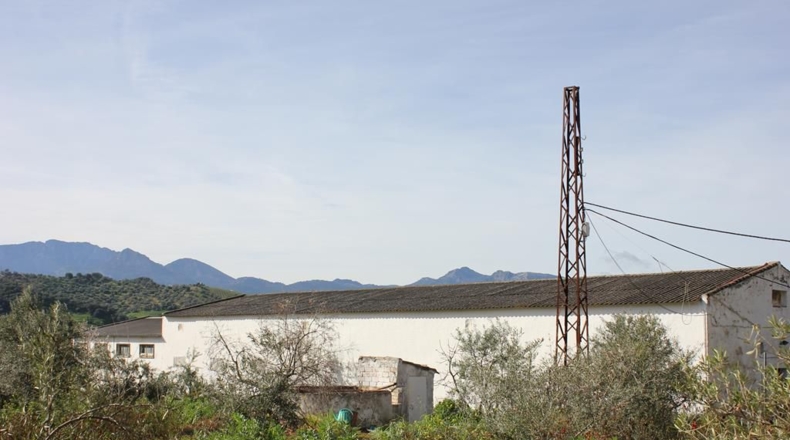Cádiz - Algodonales - 9m2