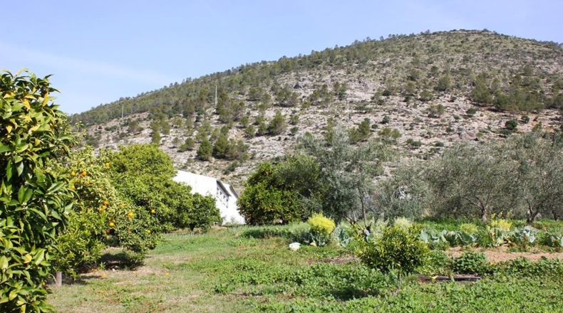 Cádiz - Algodonales - 9m2