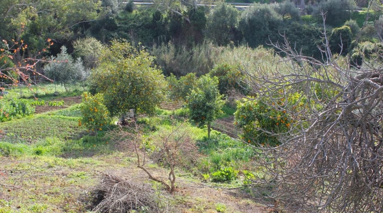 Cádiz - Algodonales - 9m2