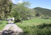 Finca rústica en venda a Algodonales ref.: TR284305 foto