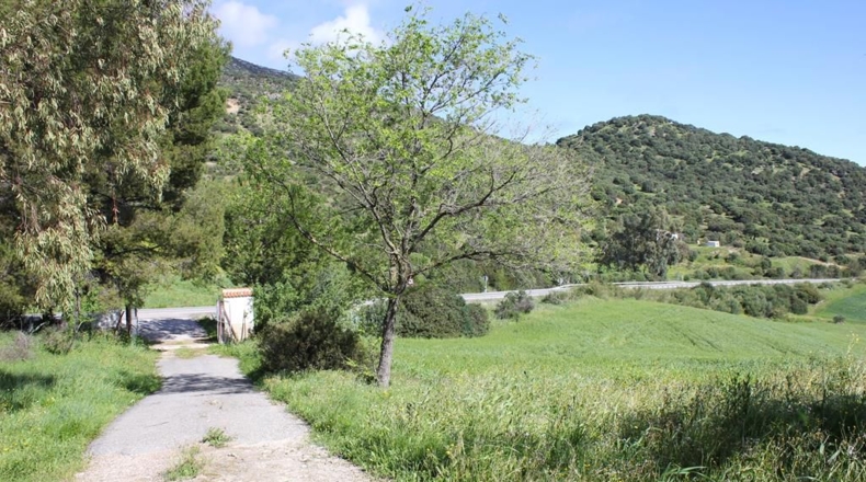 Cádiz - Algodonales - 1868437m2