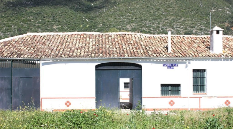 Cádiz - Algodonales - 1868437m2