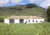 Finca rústica en venda a Algodonales ref.: TR284305 foto