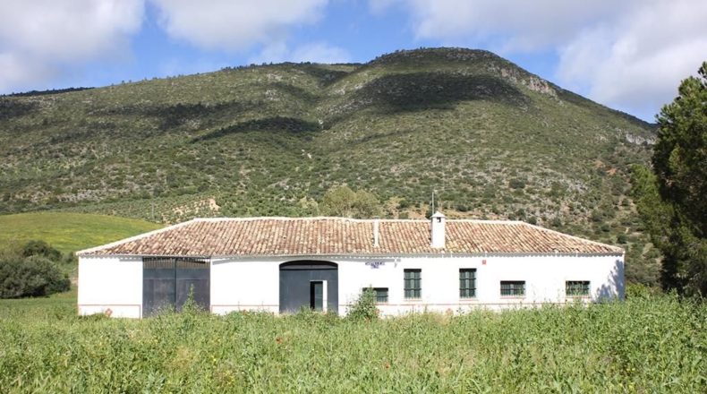 Cádiz - Algodonales - 1868437m2