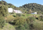 Finca rústica en venda a Algodonales ref.: TR284305 foto