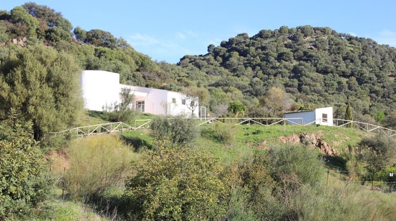Cádiz - Algodonales - 1868437m2