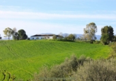 Finca rústica en venda a Algodonales ref.: TR284305 foto
