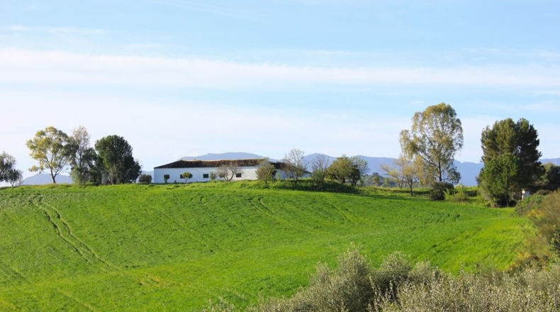 Cádiz - Algodonales - 1868437m2