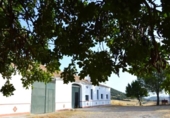 Finca rústica en venda a Algodonales ref.: TR284305 foto