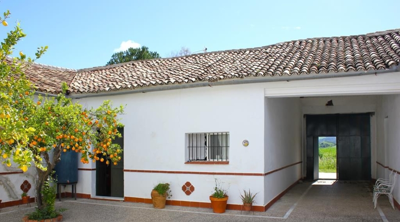 Cádiz - Algodonales - 1868437m2