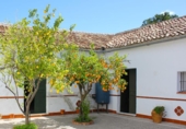 Finca rústica en venda a Algodonales ref.: TR284305 foto