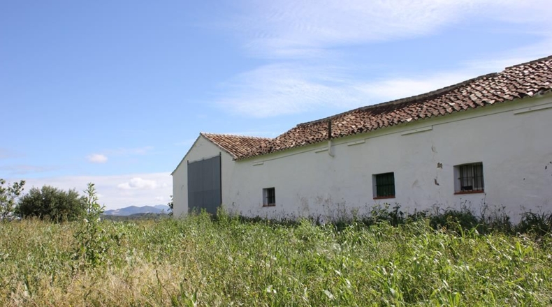 Cádiz - Algodonales - 1868437m2