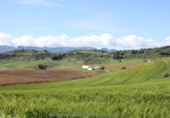 Finca rústica en venda a Algodonales ref.: TR284305 foto