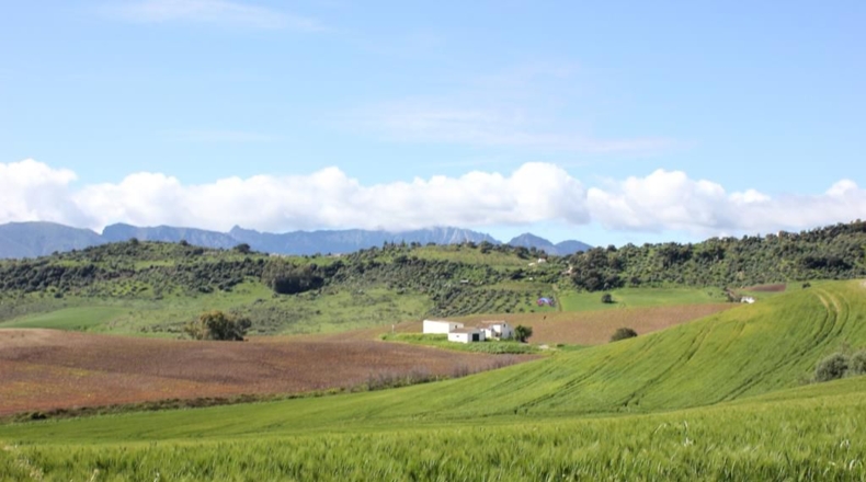 Cádiz - Algodonales - 1868437m2
