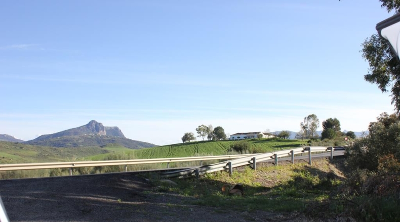 Cádiz - Algodonales - 1868437m2