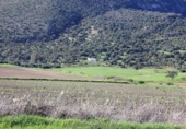 Finca rústica en venda a Algodonales ref.: TR284305 foto