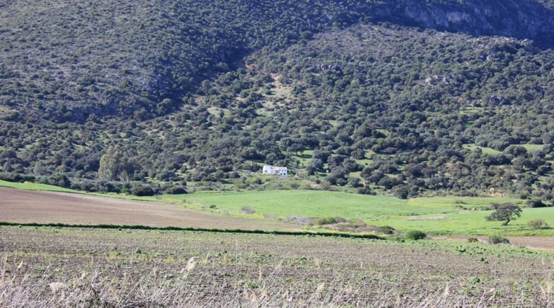 Cádiz - Algodonales - 1868437m2