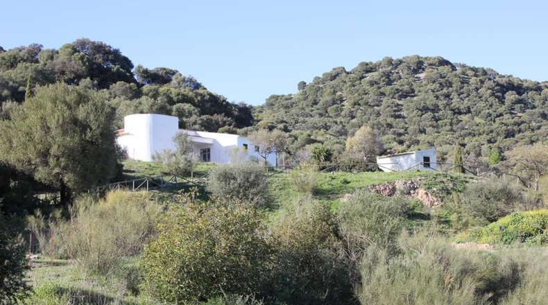 Cádiz - Algodonales - 1868437m2