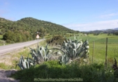 Finca rústica en venda a Algodonales ref.: TR284305 foto