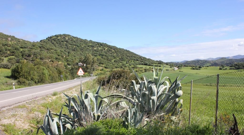 Cádiz - Algodonales - 1868437m2