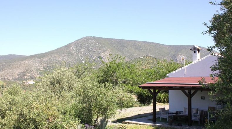 Cádiz - Algodonales - 48273m2